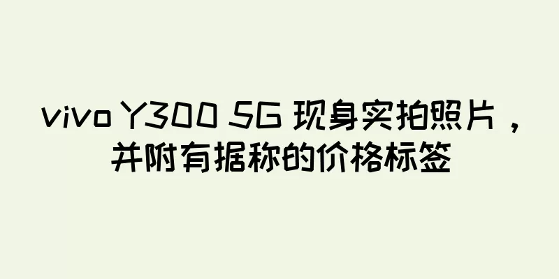 vivo Y300 5G 现身实拍照片，并附有据称的价格标签
